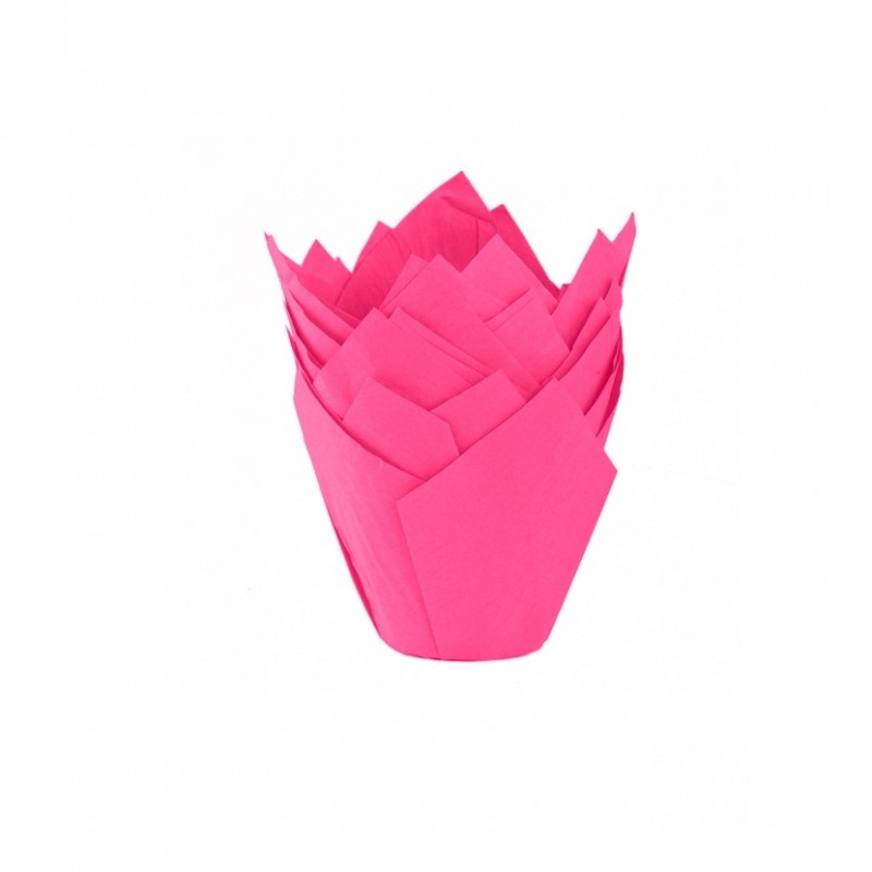 Tulipa Cupcake Nº 16 - Fucsia X  100 Unid.  - 1