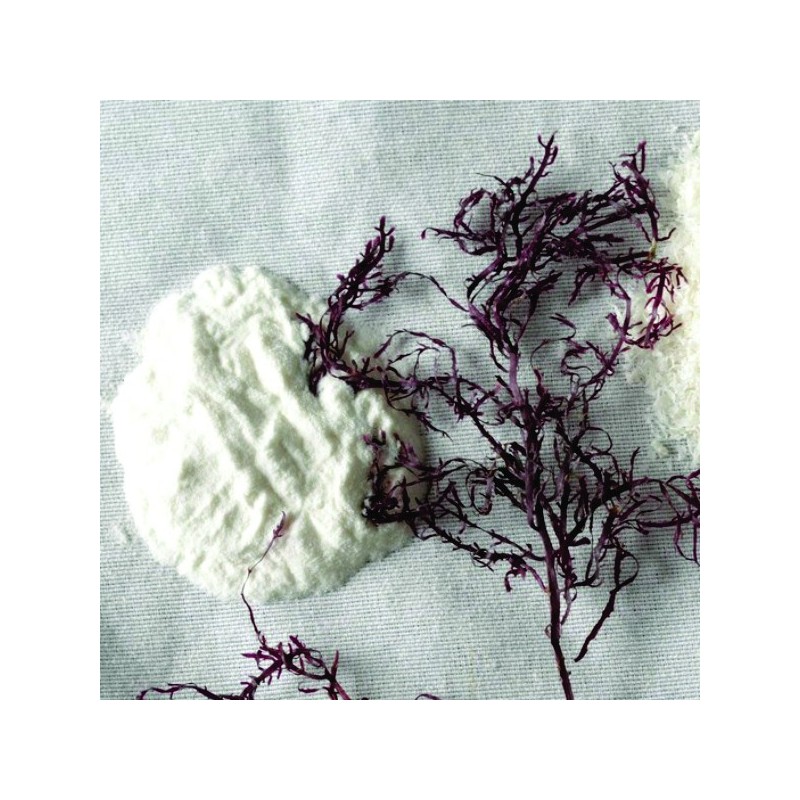 Agar Agar - En Polvo - Gelatina Vegetal X  100 G  - 1