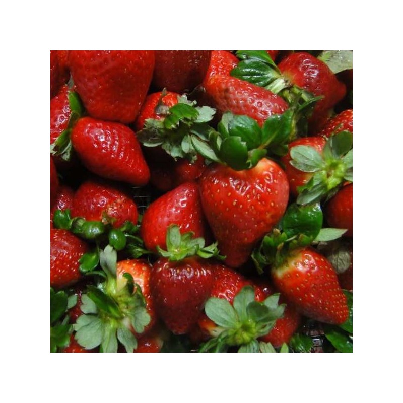 Pulpa De Frutilla X   5 Kg  - 1