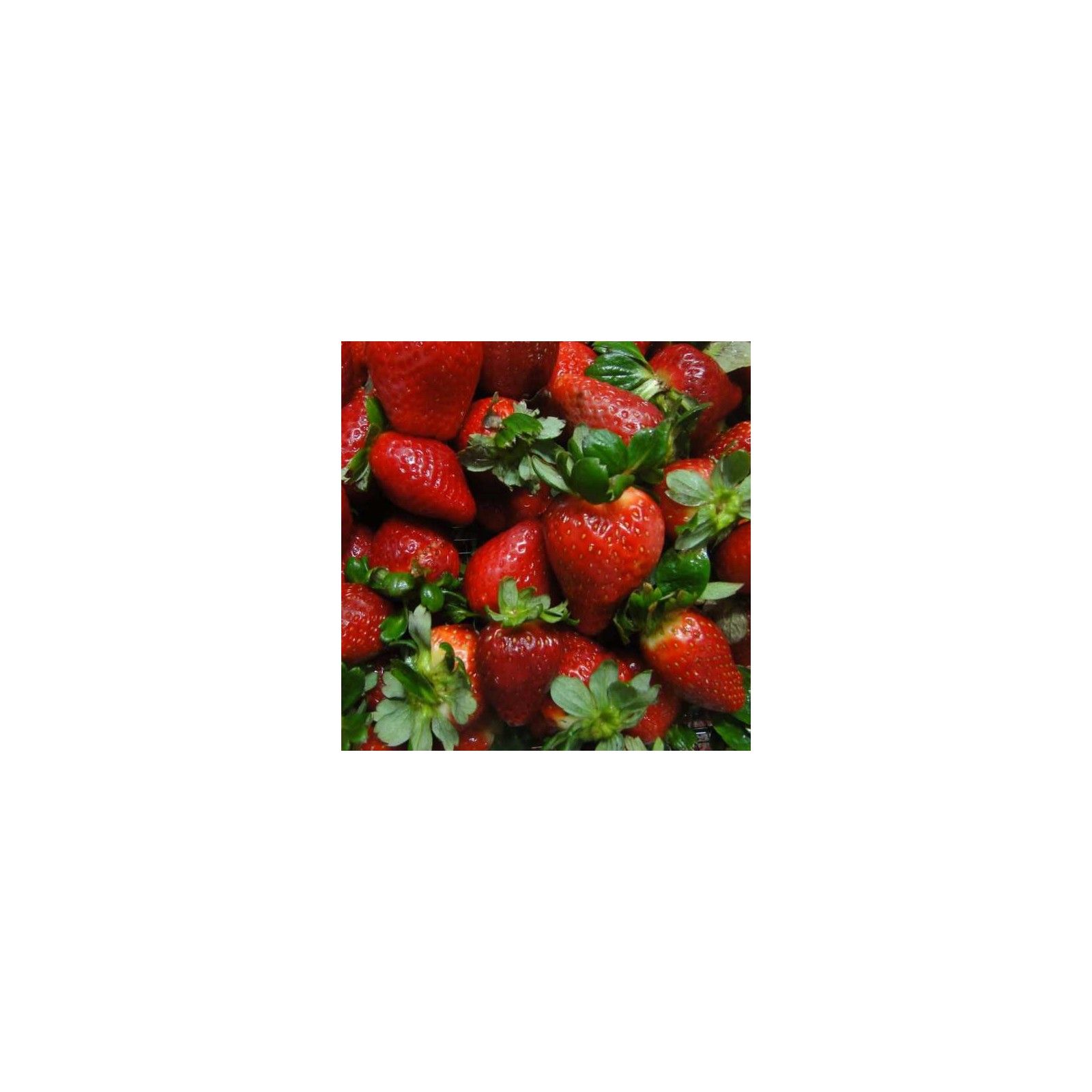 Pulpa De Frutilla X   1 Kg  - 1